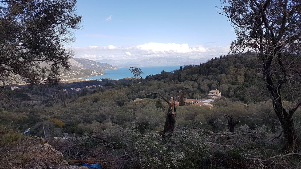 For Sale Land 4000 m² in Corfu
