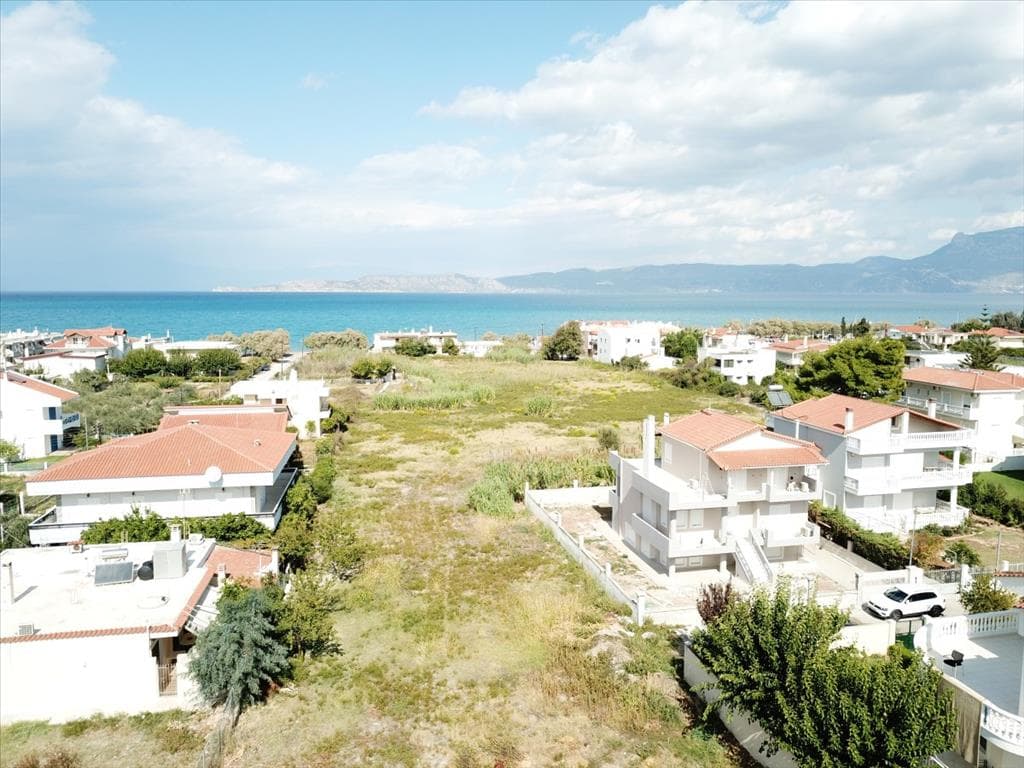 For Sale Land 18445 m² in Eastern Peloponnese