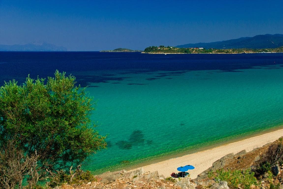 For Sale Land 14300 m² in Athos, Chalkidiki