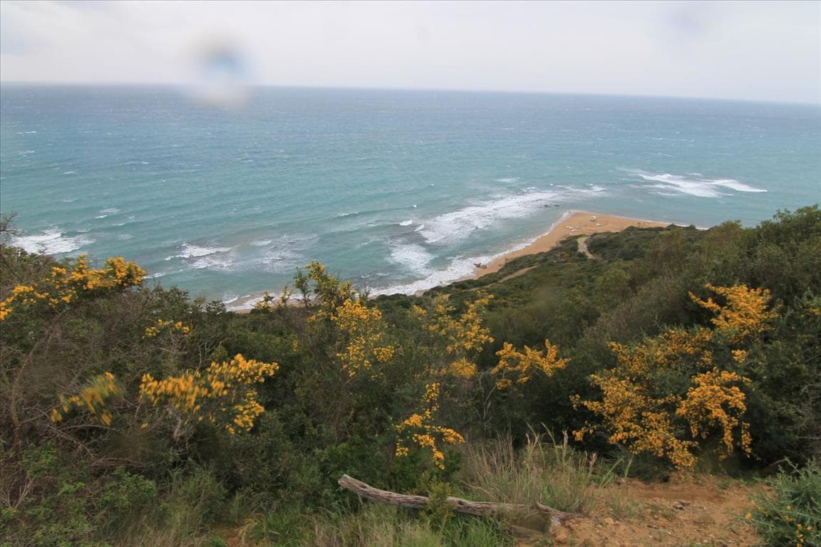 For Sale Land 205000 m² in Corfu