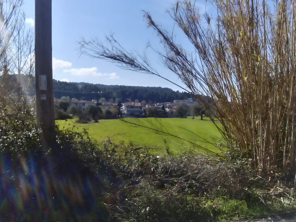 For Sale Land 18480 m² in Kassandra, Chalkidiki