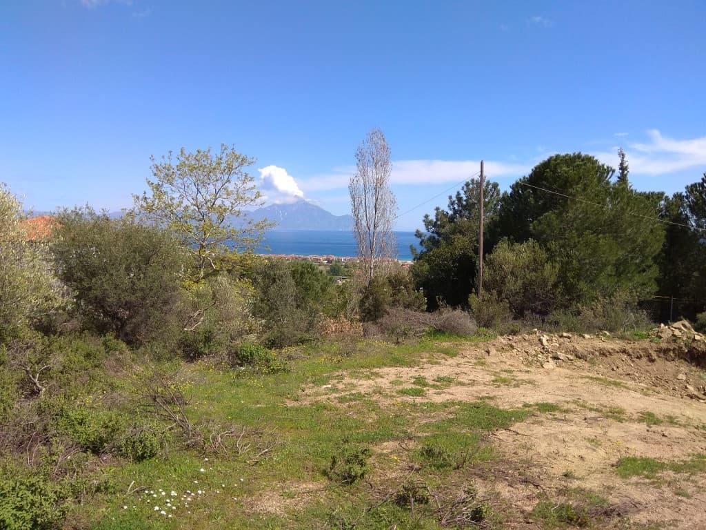 For Sale Land 10000 m² in Sithonia, Chalkidiki