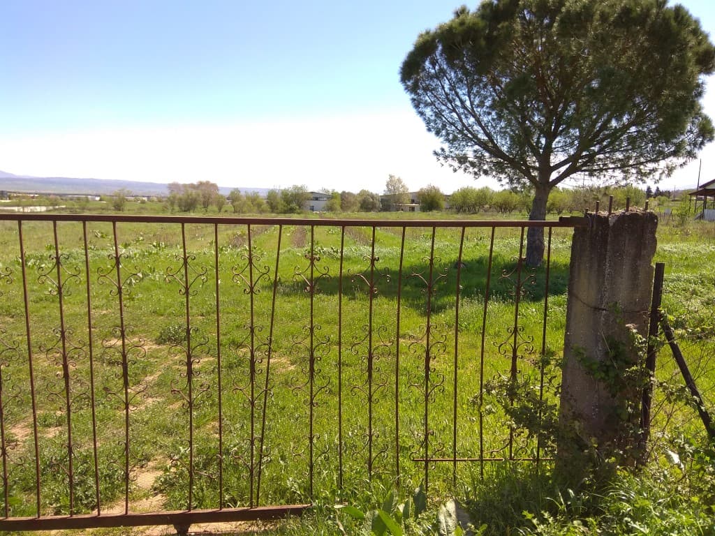 For Sale Land 18500 m² in the suburbs of Thessaloniki