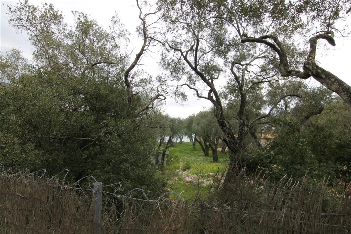 For Sale Land 10000 m² in Corfu