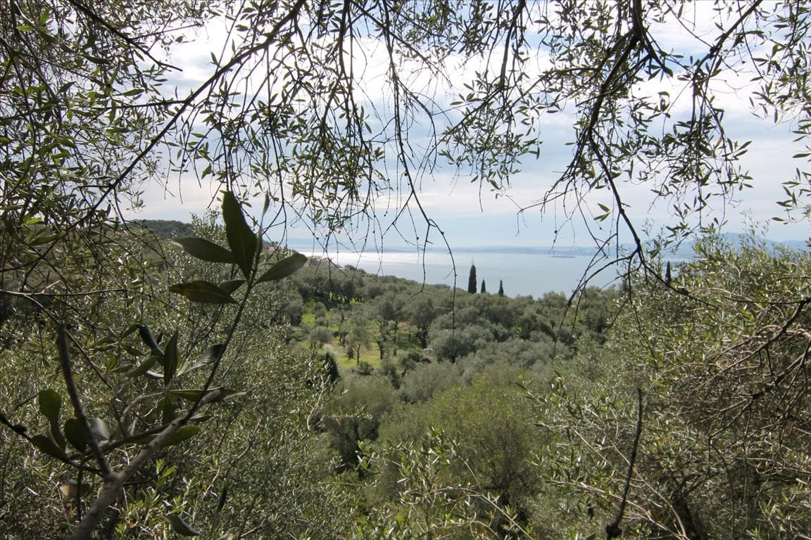 For Sale Land 9000 m² in Corfu