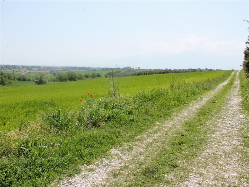 For Sale Land 7000 m² on the Olympic Coast