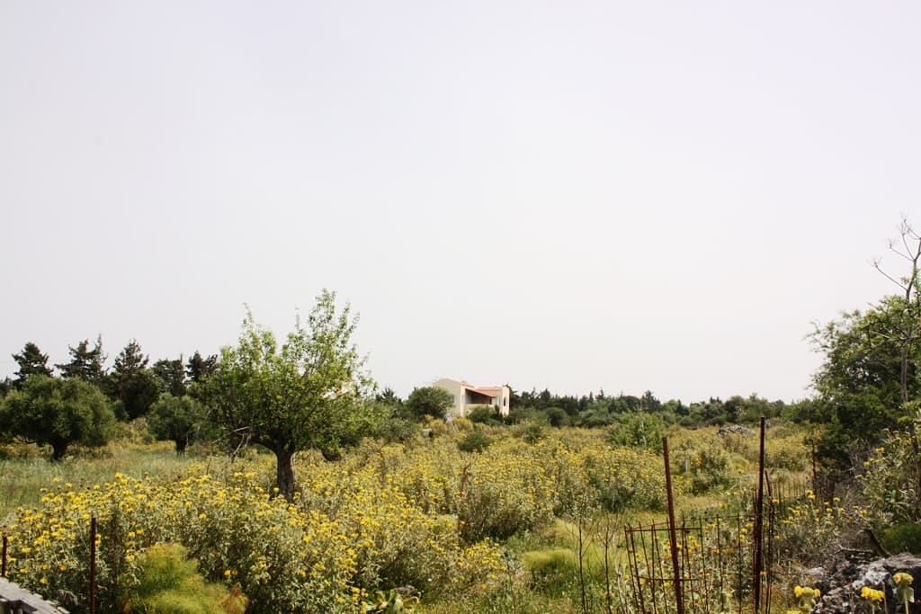 For Sale Land 4200 m² in Crete