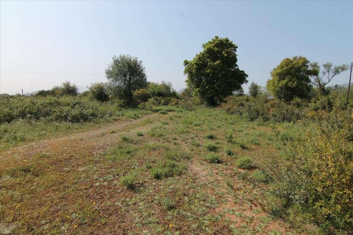 For Sale Land 6500 m² in Corfu