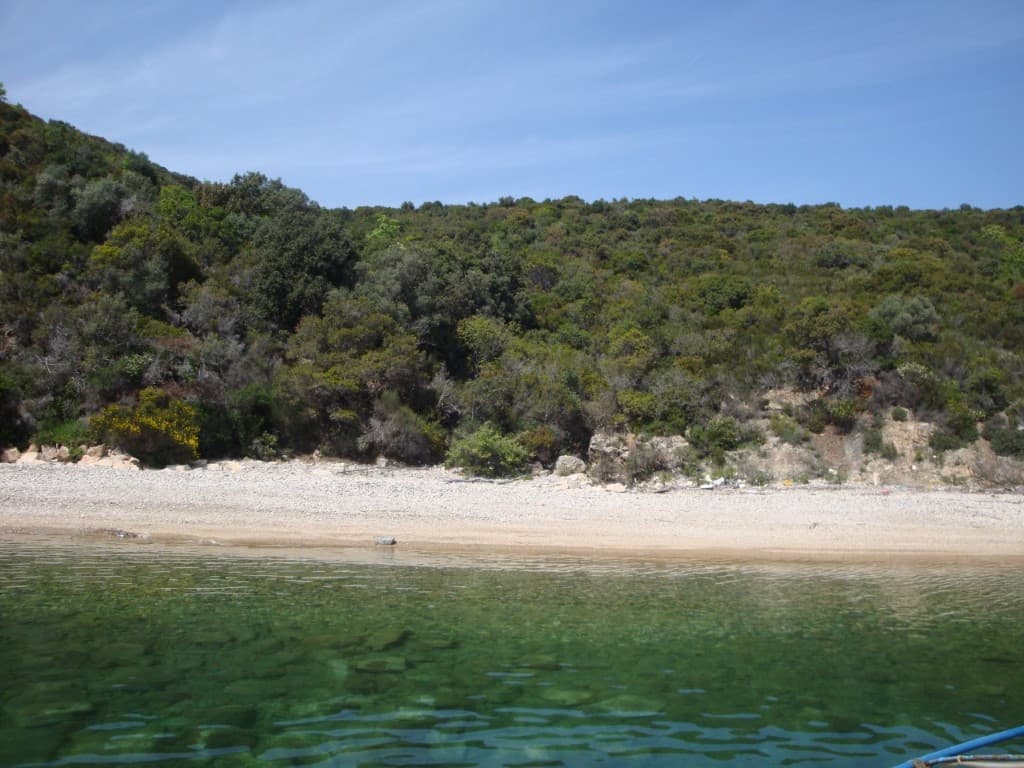 For Sale Land 15000 m² in Athos, Chalkidiki