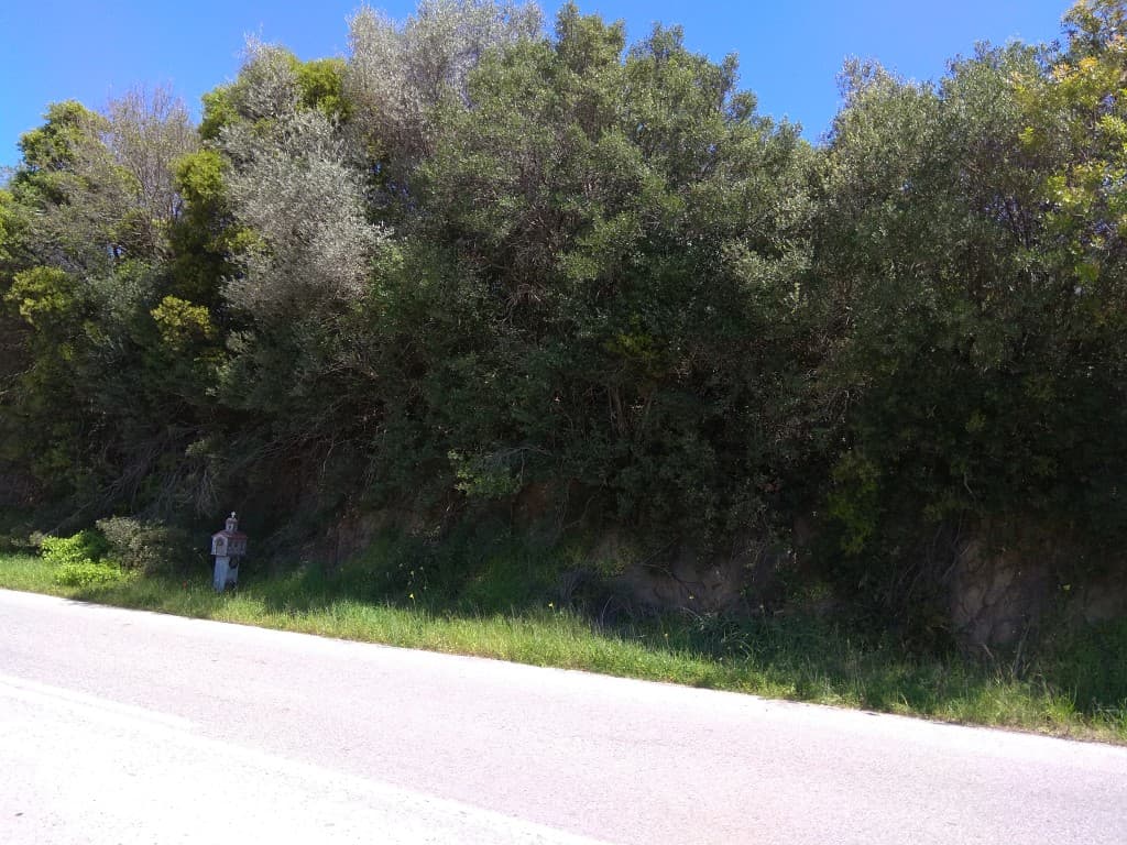 For Sale Land 3000 m² in Athos, Chalkidiki