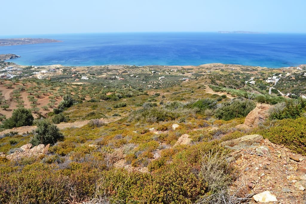 For Sale Land 9000 m² in Crete