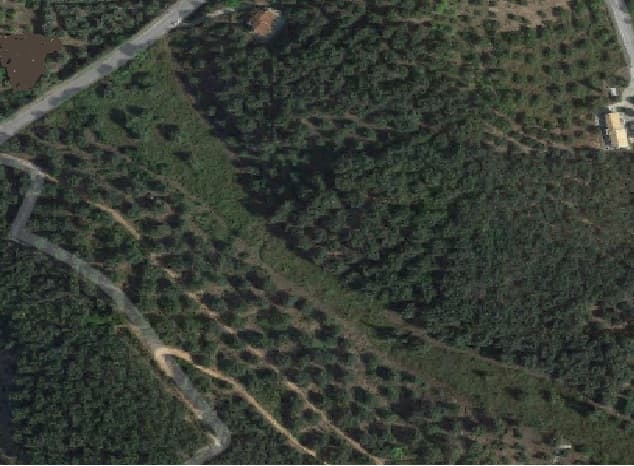 For Sale Land 8000 m² in Corfu