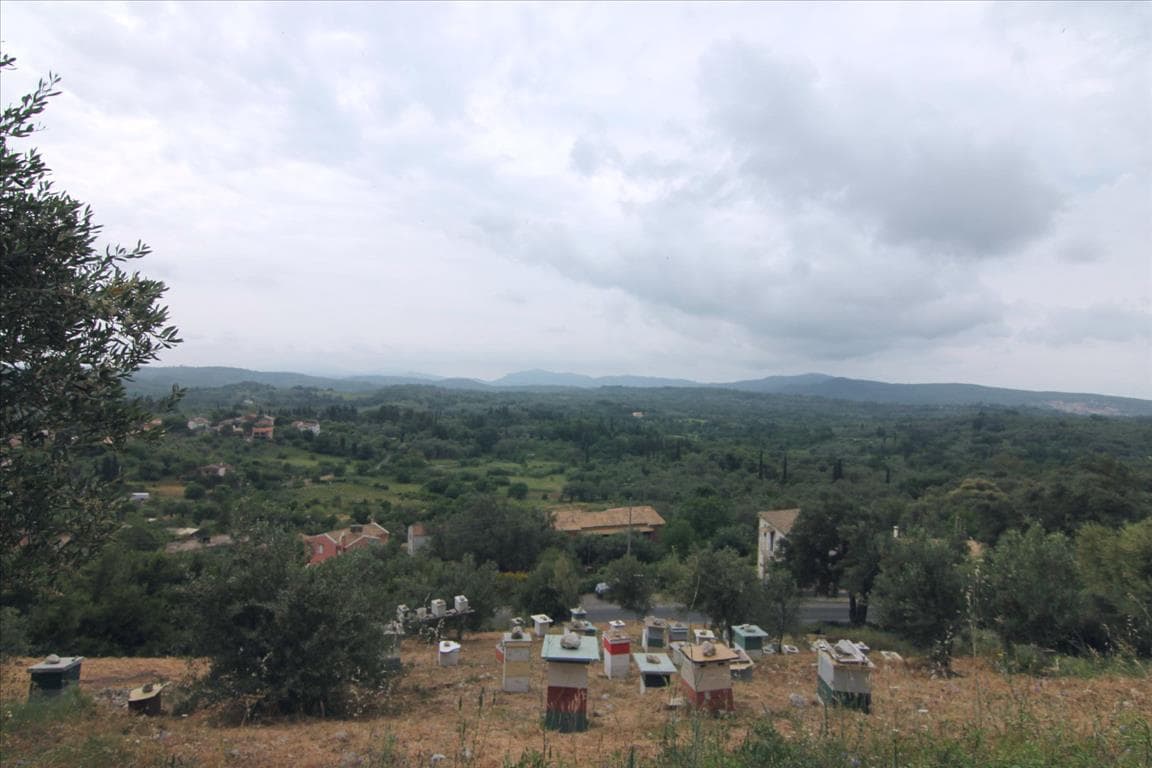 For Sale Land 3700 m² in Corfu