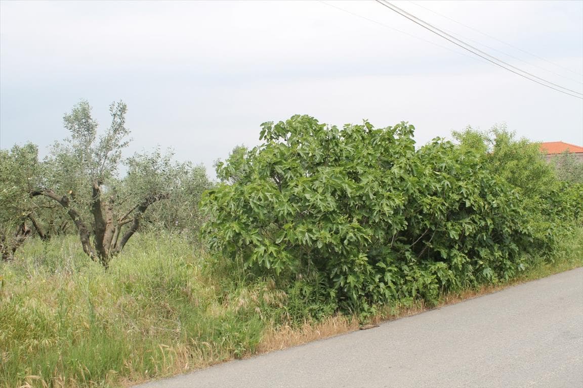 For Sale Land 4200 m² in the suburbs of Thessaloniki