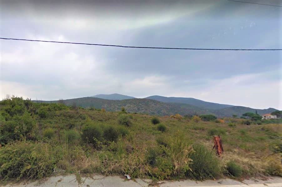 For Sale Land 10000 m² in Volos-Pilio