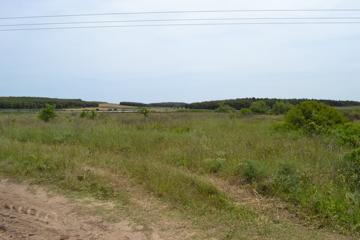 For Sale Land 3200 m² in Kassandra, Chalkidiki