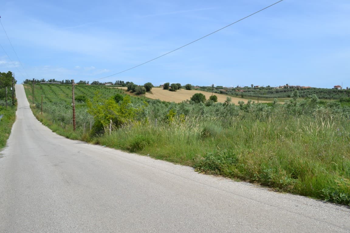 For Sale Land 4600 m² in Kassandra, Chalkidiki