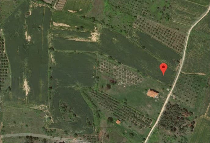 For Sale Land 9800 m² in Athos, Chalkidiki