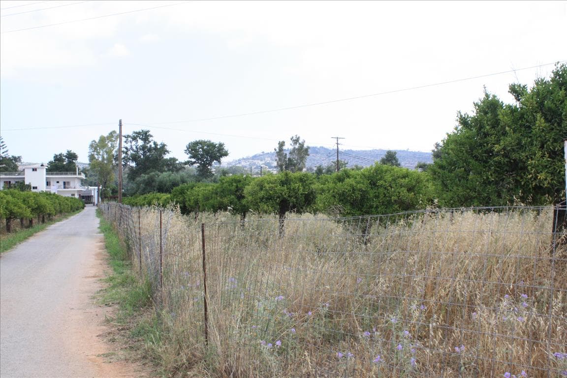 For Sale Land 6086 m² in Crete