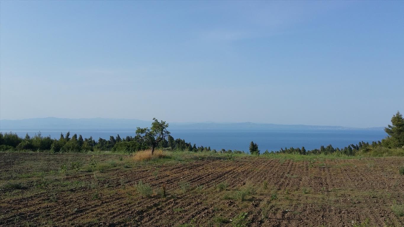 For Sale Land 14625 m² in Kassandra, Chalkidiki