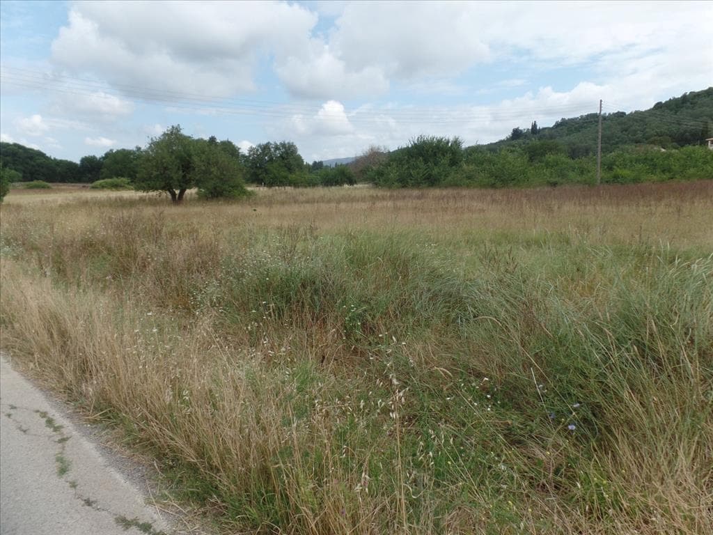 For Sale Land 5300 m² in Corfu