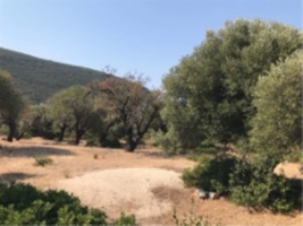 For Sale Land 13650 m² in Ionian Islands