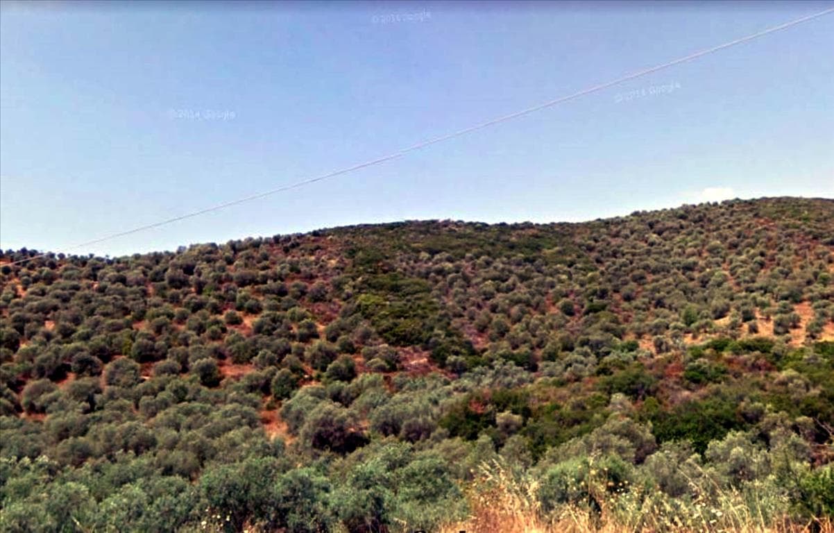 For Sale Land 4765 m² in Athos, Chalkidiki
