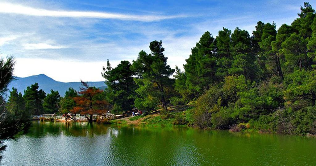 For Sale Land 1036 m² in Attica