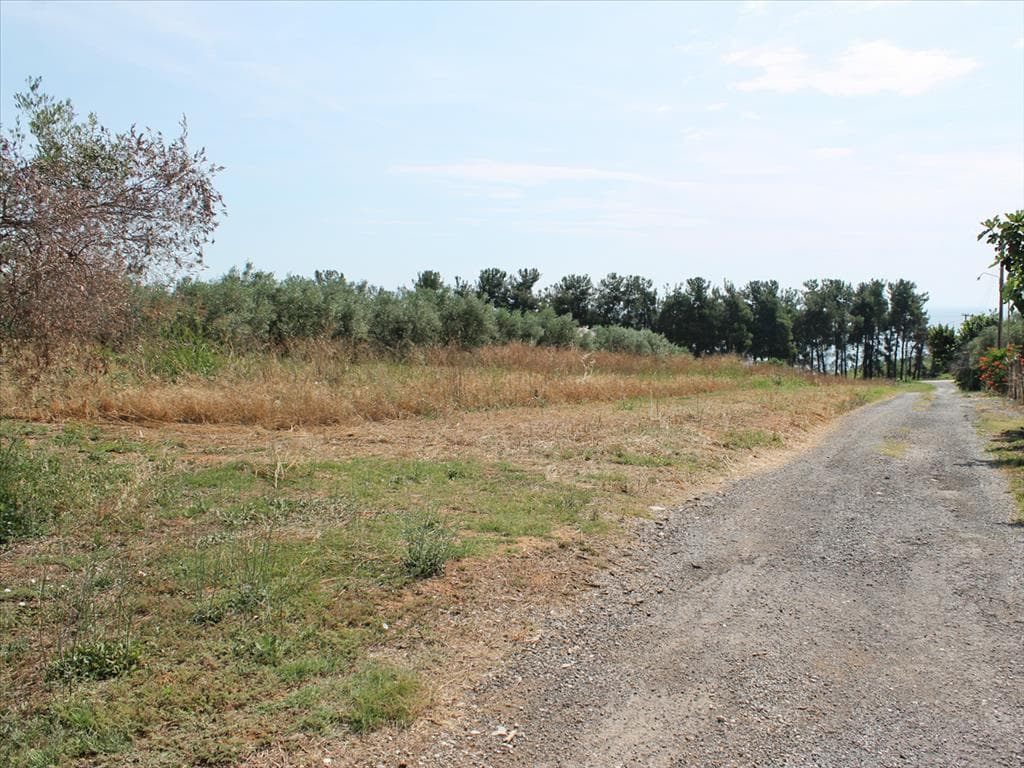 For Sale Land 5000 m² on the Olympic Coast