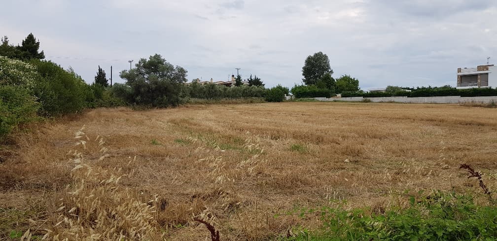 For Sale Land 4800 m² in Kassandra, Chalkidiki