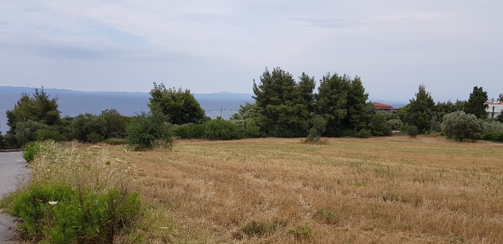 For Sale Land 9500 m² in Kassandra, Chalkidiki