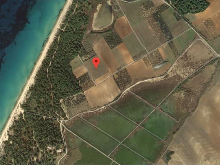 For Sale Land 19900 m² in Kassandra, Chalkidiki
