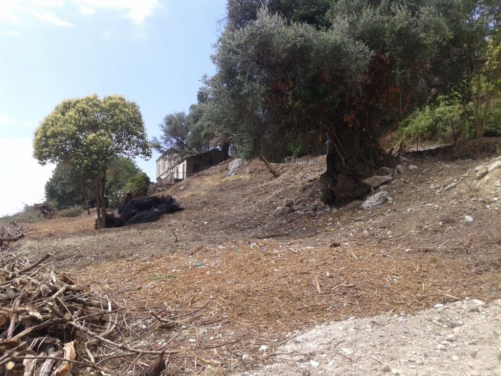 For Sale Land 2250 m² in Corfu