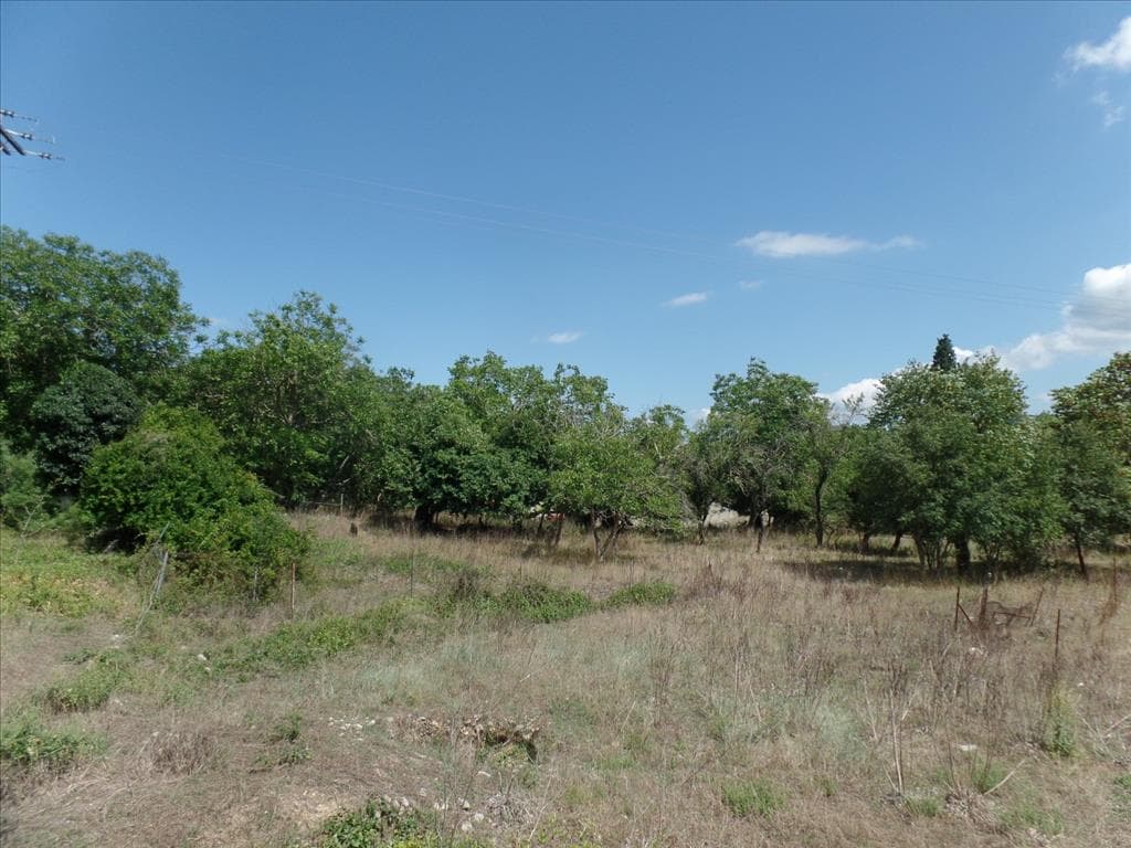 For Sale Land 4000 m² in Corfu