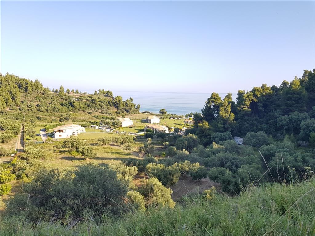 For Sale Land 4300 m² in Kassandra, Chalkidiki