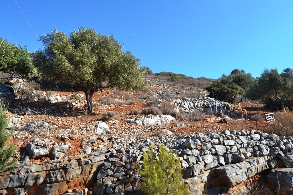For Sale Land 4670 m² in Crete