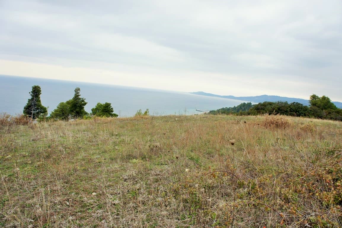 For Sale Land 55000 m² in Kassandra, Chalkidiki