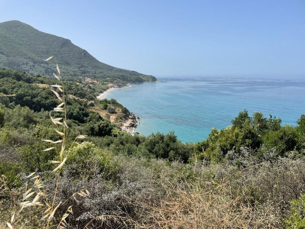 For Sale Land 4800 m² in Corfu