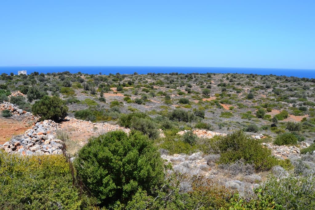 For Sale Land 13000 m² in Crete