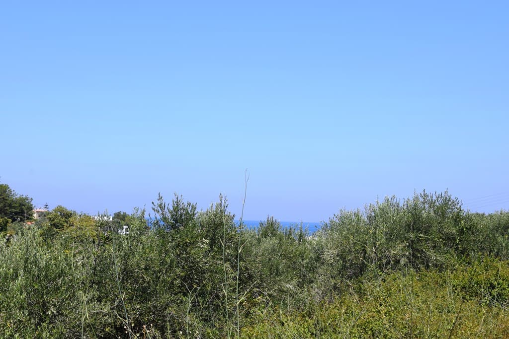 For Sale Land 5500 m² in Crete