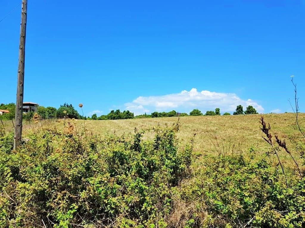 For Sale Land 8000 m² in Kassandra, Chalkidiki