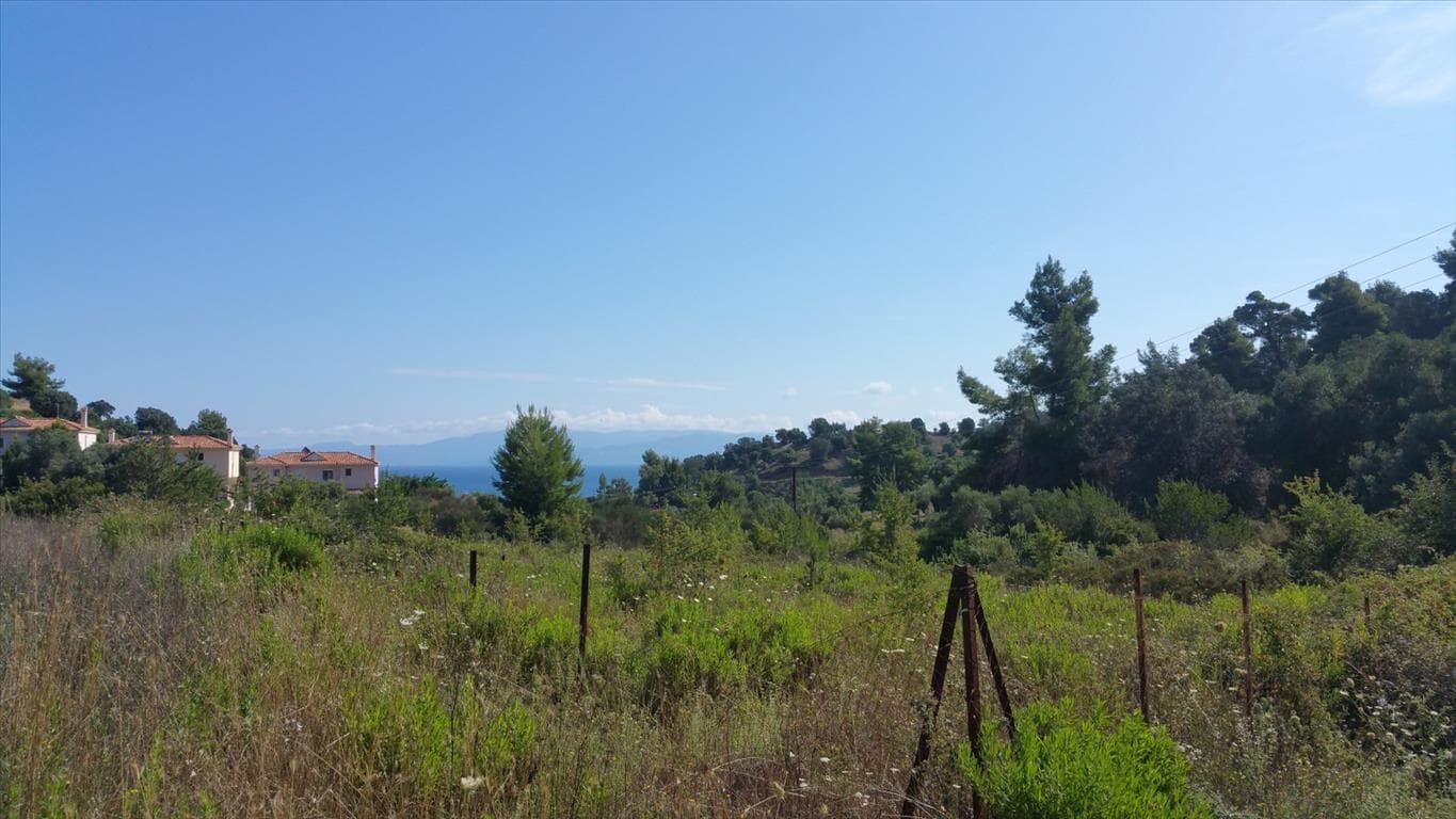 For Sale Land 9000 m² in Kassandra, Chalkidiki
