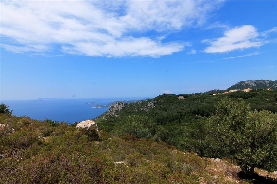 For Sale Land 4000 m² in Corfu