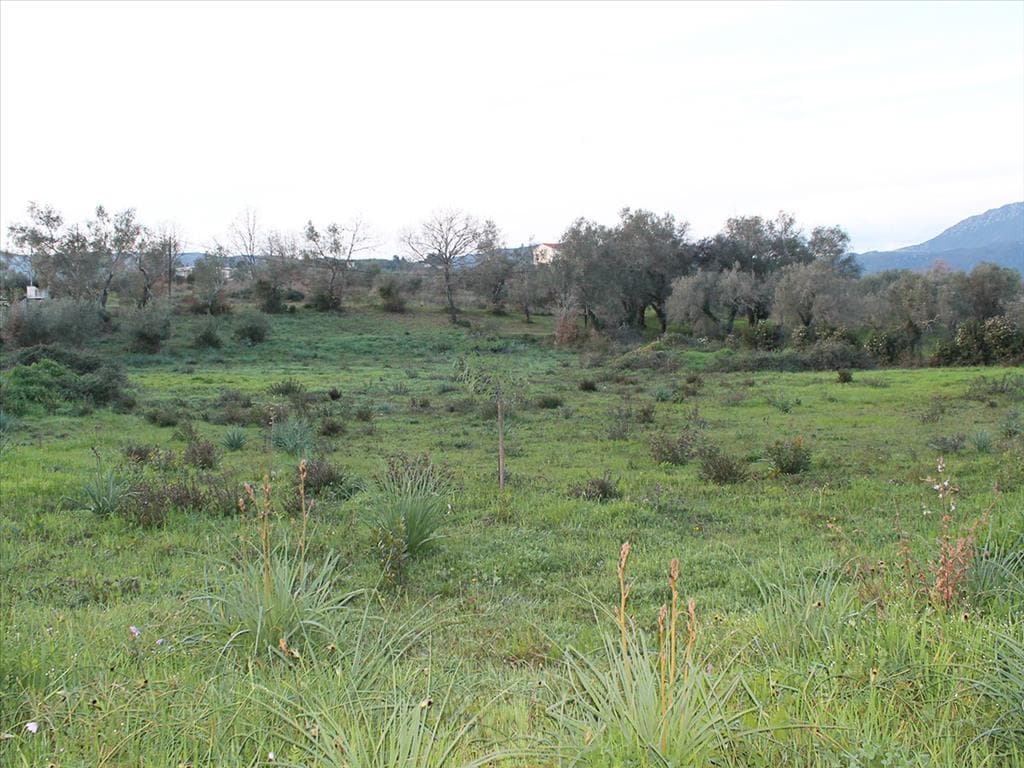 5700 m² Plot with Building Permission on Corfu