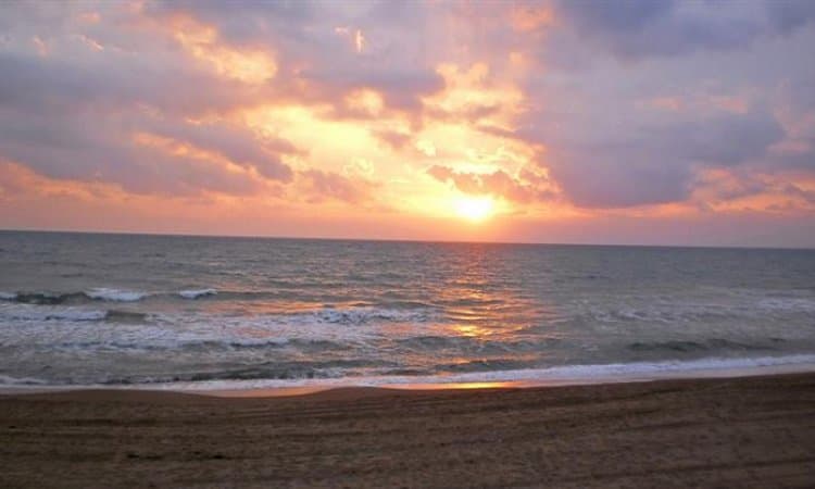 For Sale Land 16800 m² in Western Peloponnese