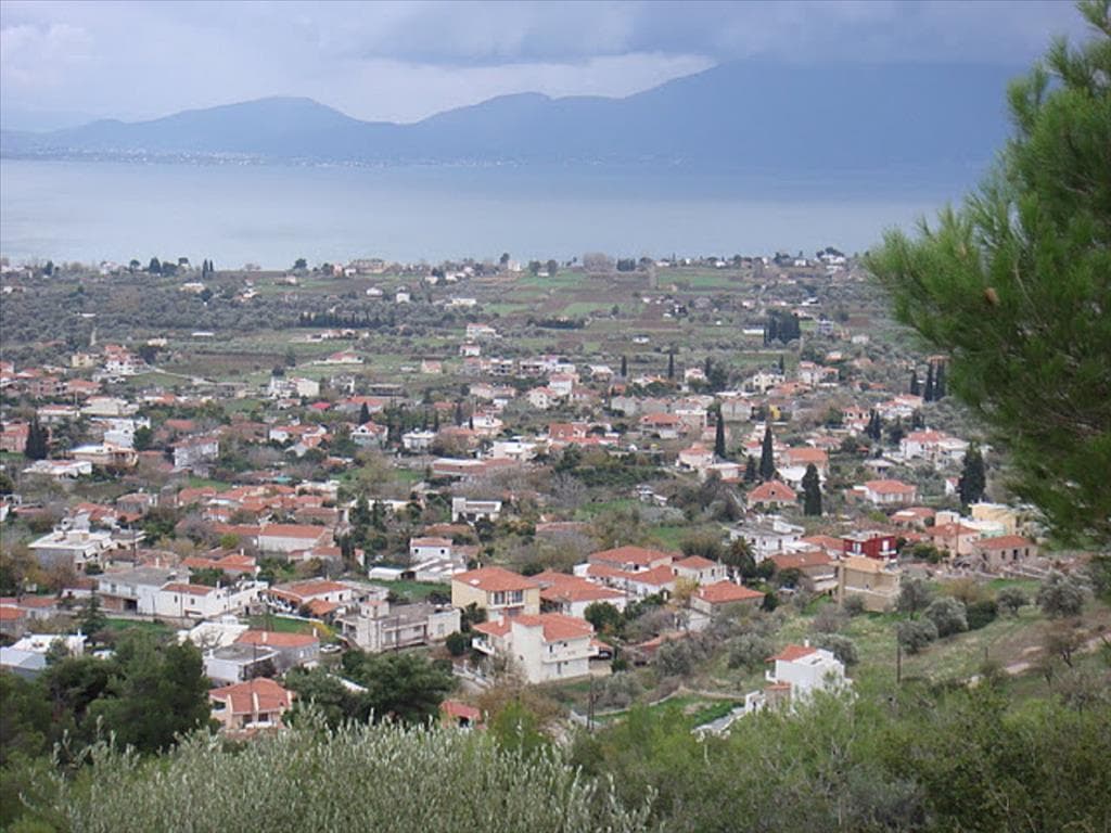 For Sale Land 2100 m² on the Euboea island