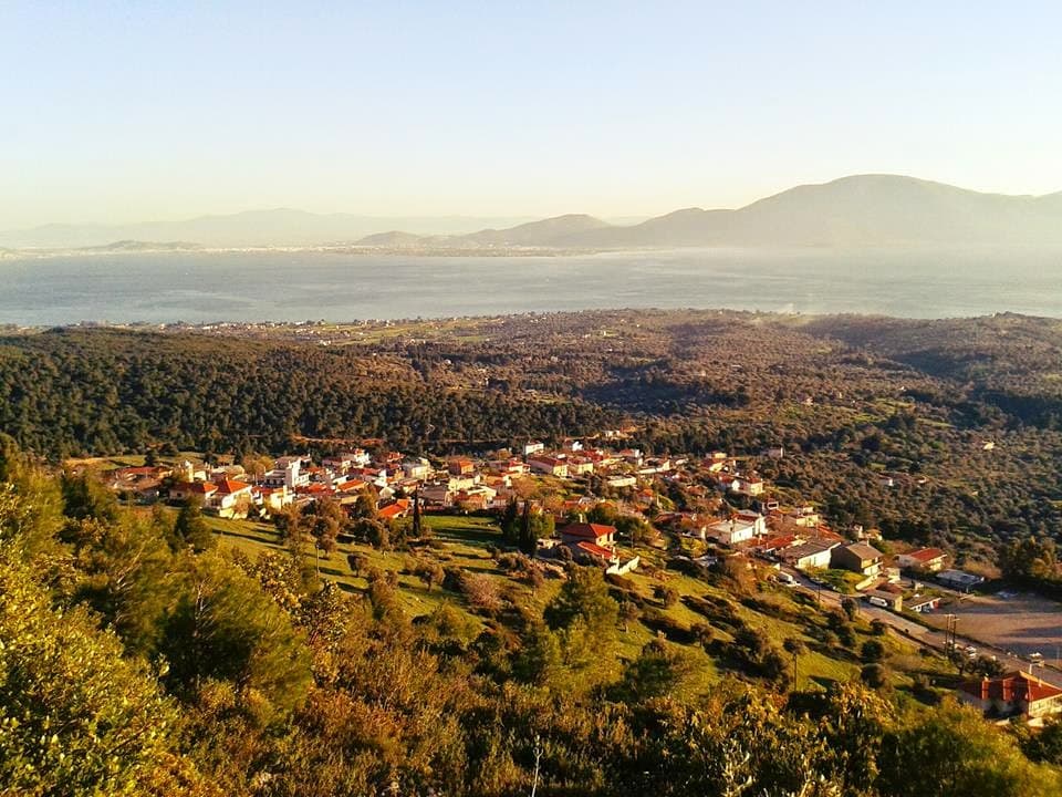 For Sale Land 7500 m² on the Euboea island