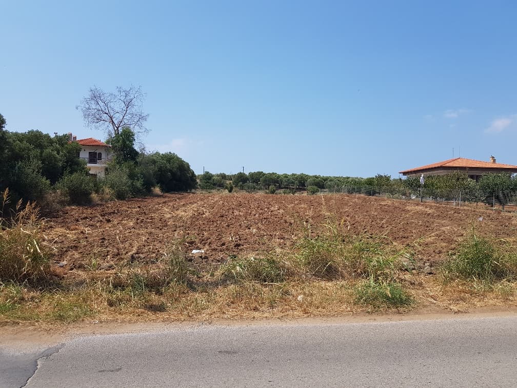 For Sale Land 3000 m² in Kassandra, Chalkidiki