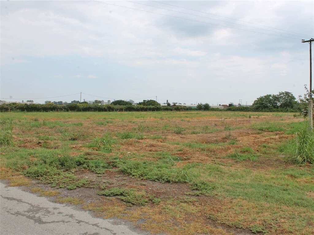 For Sale Land 15000 m² on the Olympic Coast