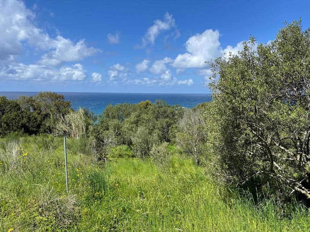 For Sale Land 9150 m² in Corfu